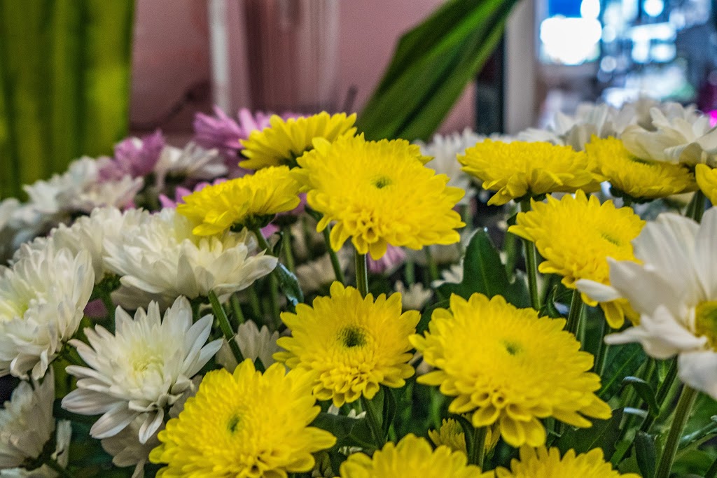 Blossoms Flower Boutique | florist | Shop 5, Northern Beaches Central, 10 Eimeo Road, Rural View QLD 4740, Australia | 0748402889 OR +61 7 4840 2889