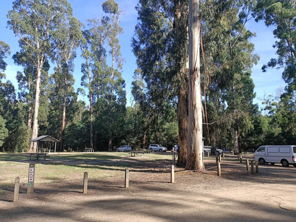 Andersons Garden | campground | Clonbinane VIC 3658, Australia
