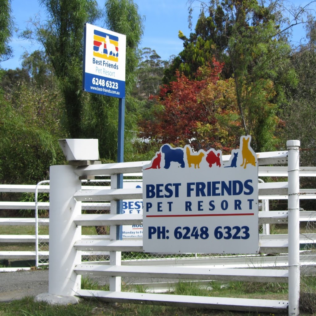 Best Friends Kennels & Cattery | veterinary care | 96 Acton Rd, Acton Park TAS 7170, Australia | 0362486323 OR +61 3 6248 6323