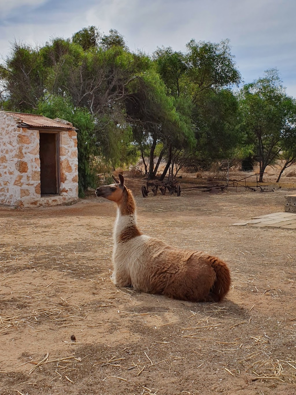 Greenough Hamlet | museum | Greenough WA 6532, Australia | 0899212533 OR +61 8 9921 2533