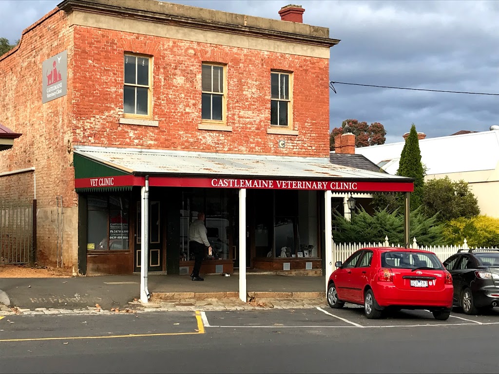 Castlemaine Veterinary Clinic | veterinary care | 56-58 Hargraves St, Castlemaine VIC 3450, Australia | 0354722268 OR +61 3 5472 2268