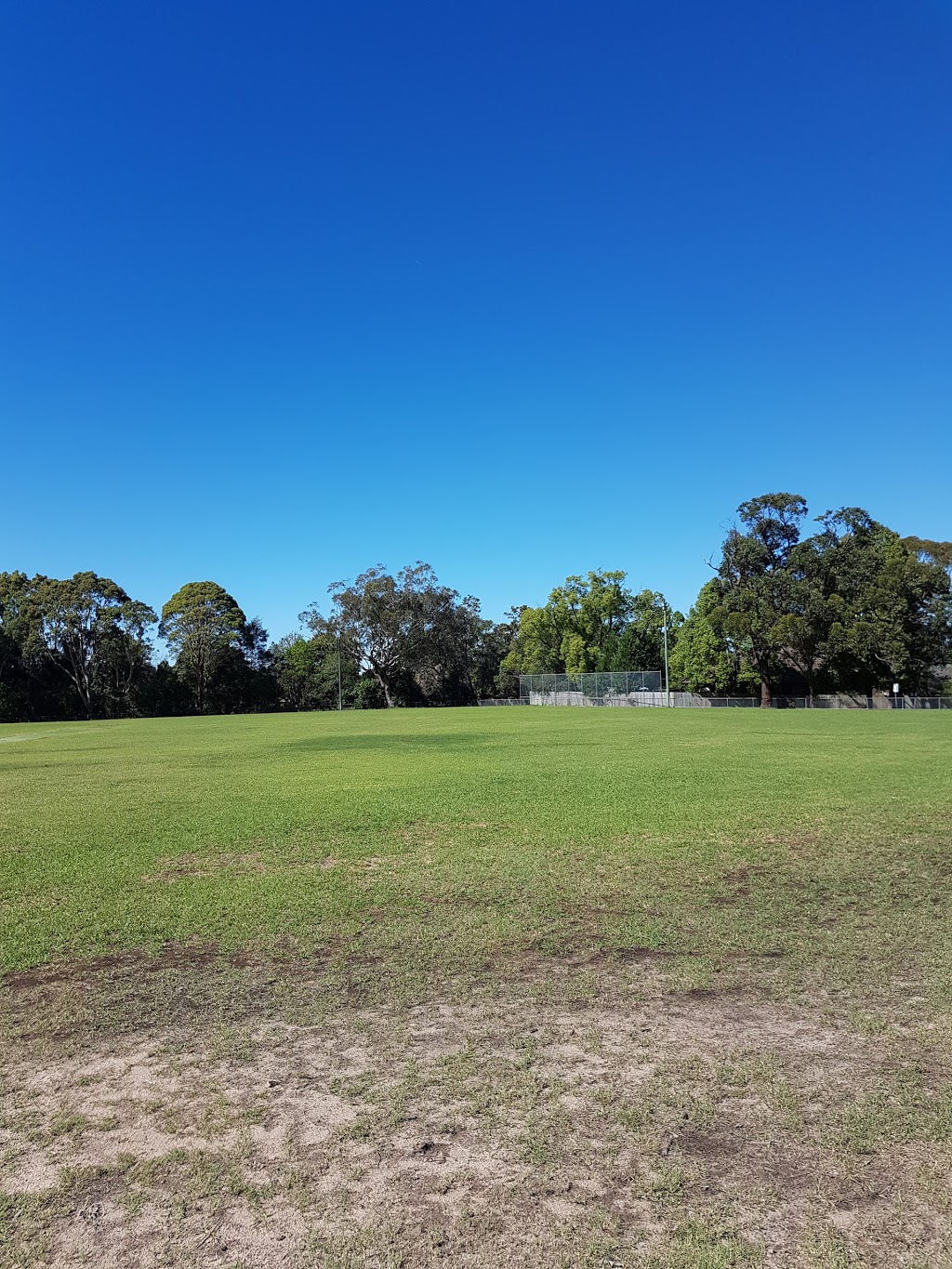Primula Oval | park | 10 Primula St, Lindfield NSW 2070, Australia | 1300139970 OR +61 1300 139 970