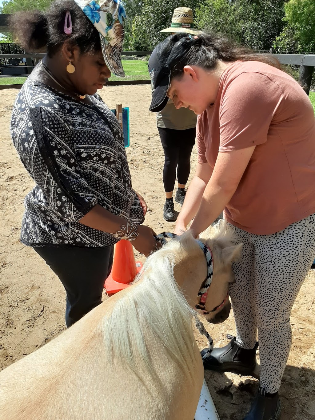 Equine Assisted Therapy | 3 Woodhaven Way, Cooroibah QLD 4565, Australia | Phone: 0427 072 186