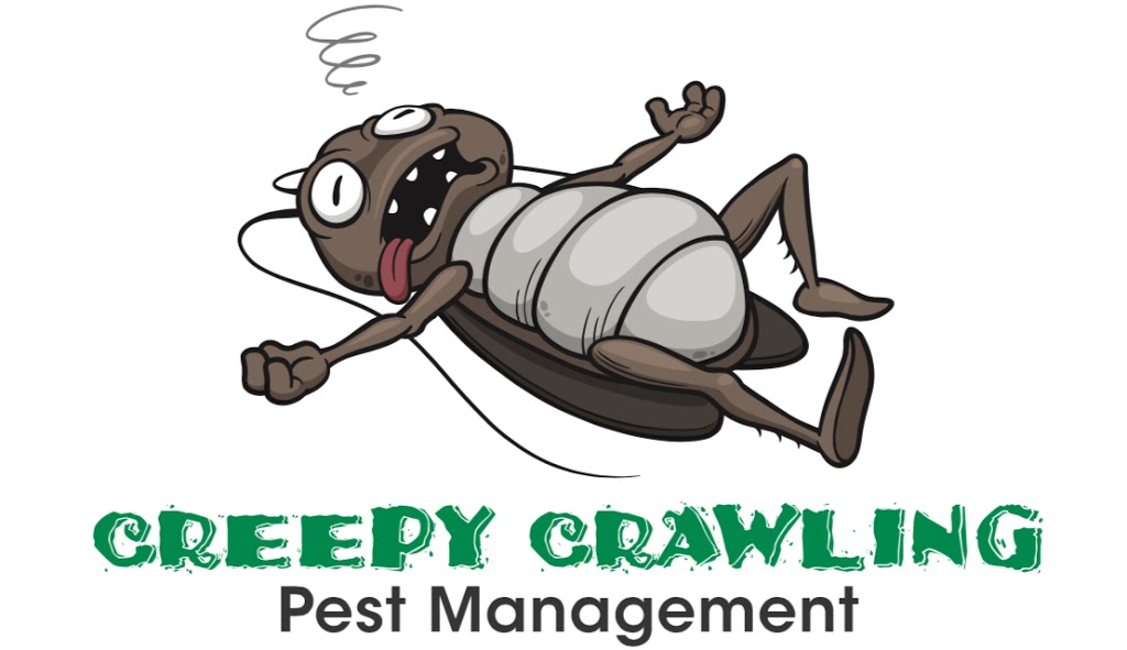 Creepy Crawling Pest Management | home goods store | 6 Redesdale St, Mallabula NSW 2319, Australia | 0434407864 OR +61 434 407 864