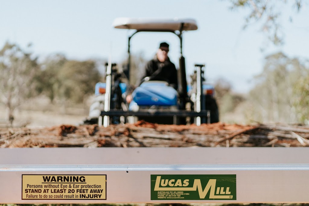 Scribbly Farm Premium Geo Dome Bush retreat Southern highlands | 1480 Wombeyan Caves Rd High Range Nr, Bowral NSW 2575, Australia | Phone: 0422 661 609