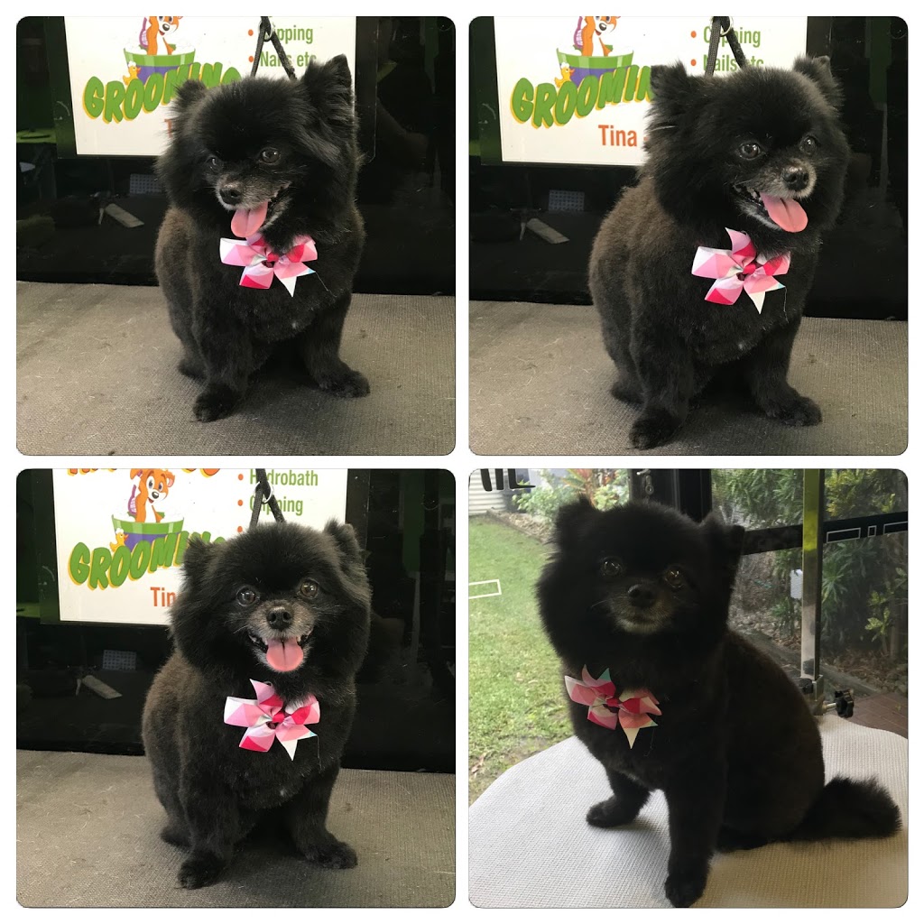 TINA’S DOG GROOMING |  | 81 Roberts Dr, Maudsland QLD 4210, Australia | 0432744956 OR +61 432 744 956