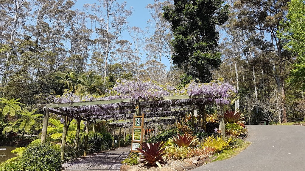 Tamborine Mountain Botanic Gardens | park | Forsythia Dr, Tamborine Mountain QLD 4272, Australia