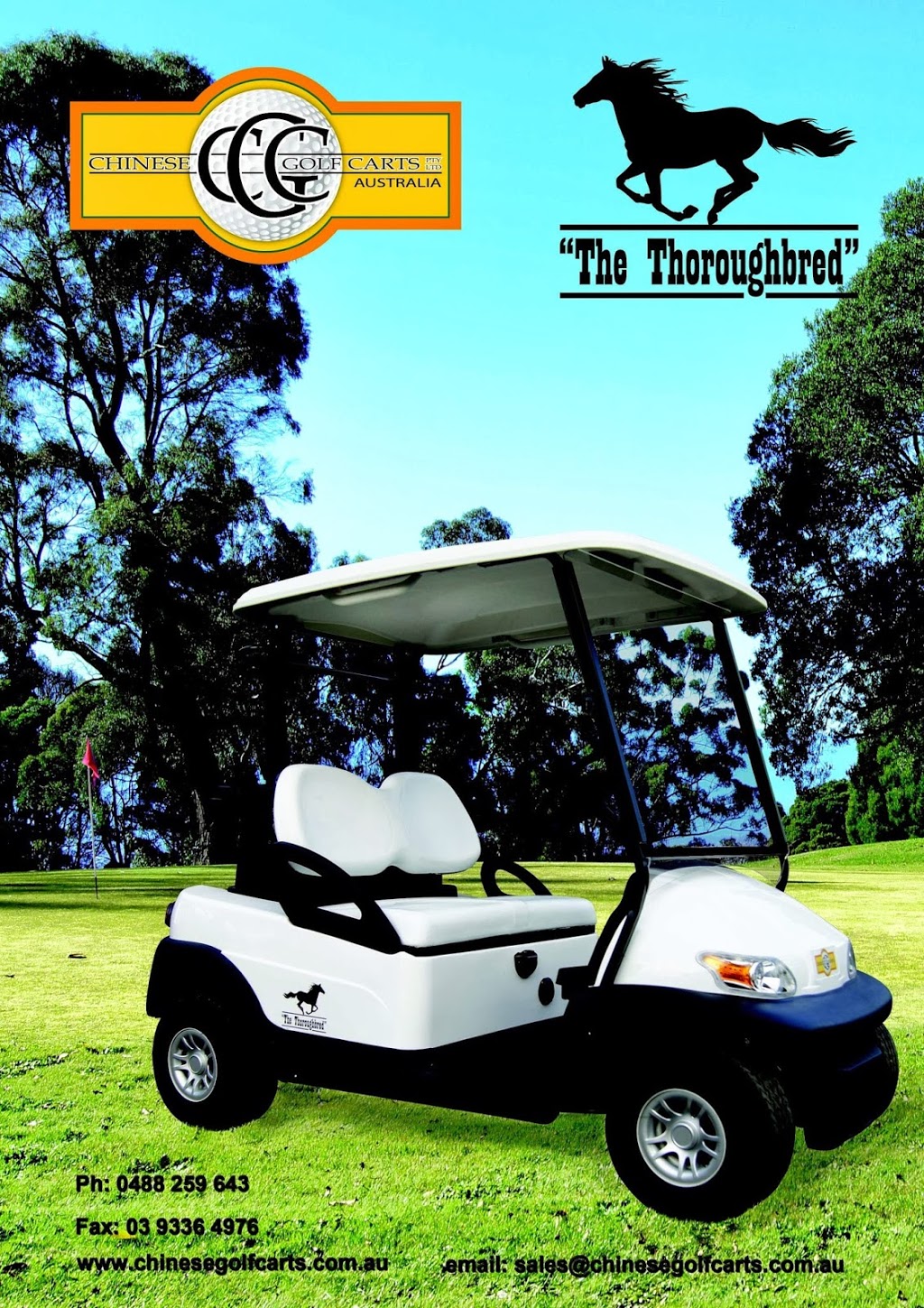 Chinese Golf Carts Australia Pty Ltd | store | 8 Driftwood St, Longwarry VIC 3816, Australia | 0488259643 OR +61 488 259 643