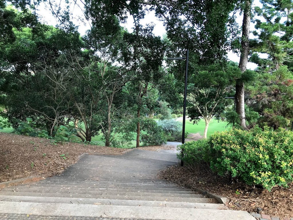 Natural Amphitheatre | park | UQ Lakes, University Dr, St Lucia QLD 4067, Australia