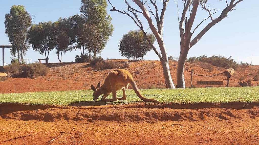 Kalgoorlie Golf Course | 93 Aslett Dr, Karlkurla WA 6430, Australia | Phone: (08) 9026 2601
