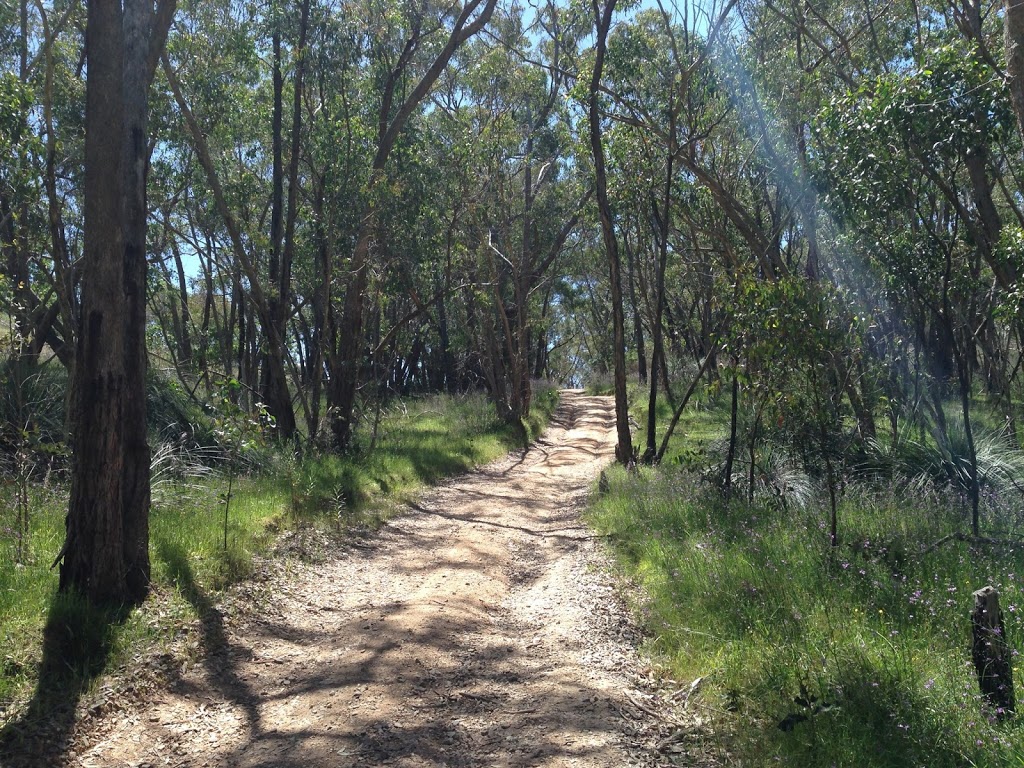 Watts Gully Native Forest Reserve | park | Forreston SA 5233, Australia