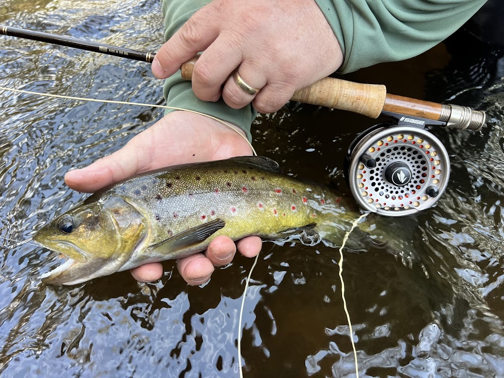 Wilderness Fly Fishing | 23 McLennan Ave, Maddingley VIC 3340, Australia | Phone: 0421 556 916