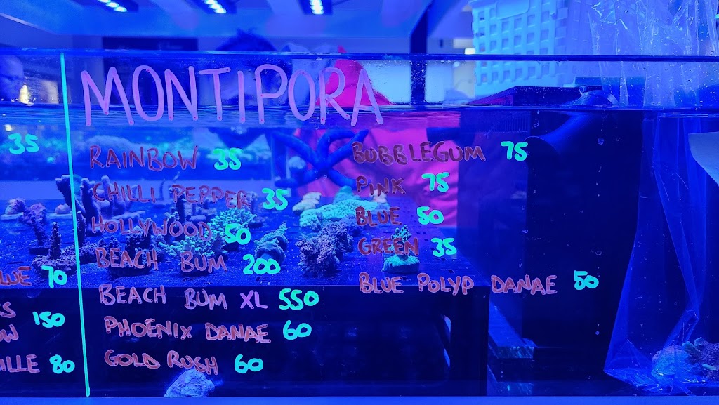 Reeftopia Australia | Unit 7/47 Cook Ct, North Lakes QLD 4509, Australia | Phone: (07) 3132 8055