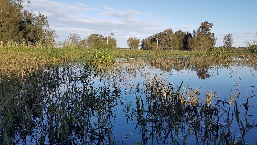 Hunter Wetlands National Park | Tomago NSW 2322, Australia | Phone: (02) 4946 4100