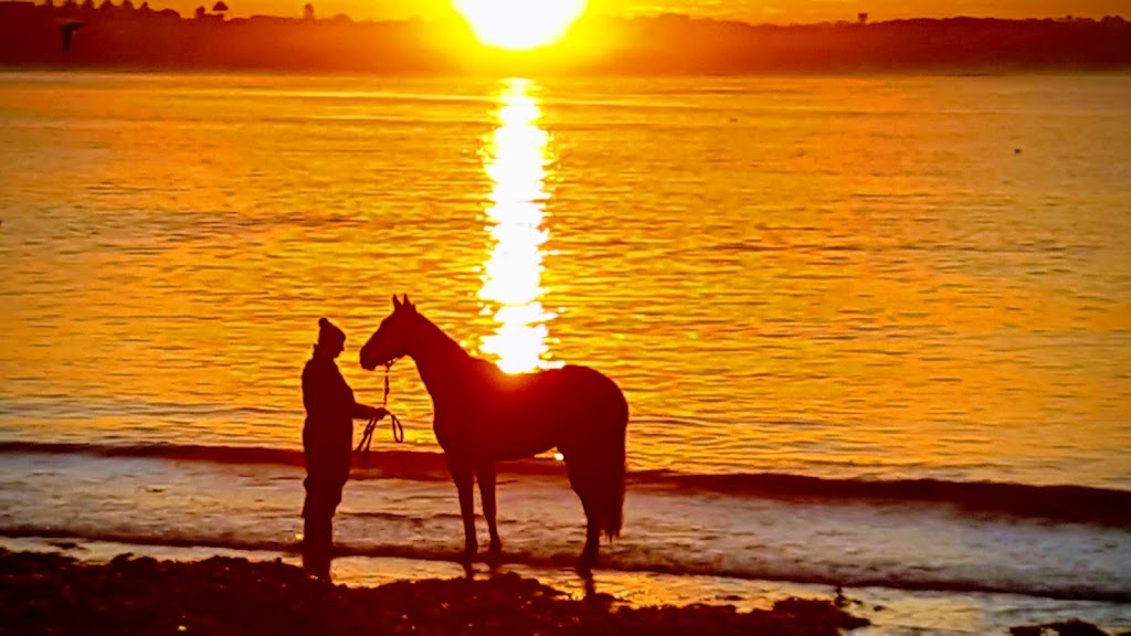 Lady Bay Warrnambool | Worm Bay Rd, Warrnambool VIC 3280, Australia