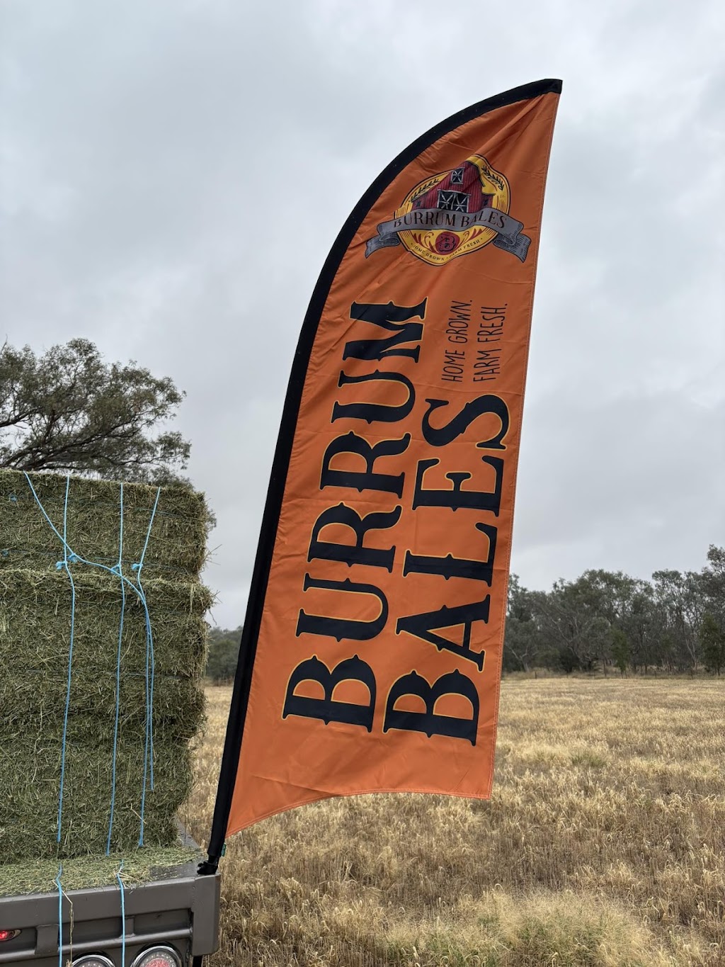 Burrum Bales | 39 Bethel Rd, Burrumbuttock NSW 2642, Australia | Phone: 0428 999 007