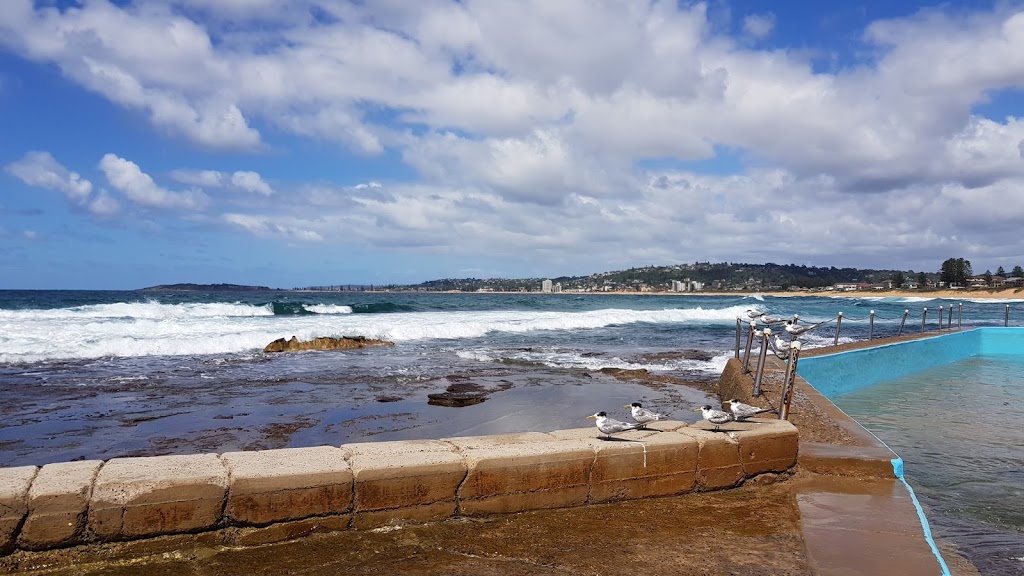 North Narrabeen Rockpool | natural feature | North Narrabeen Rockpool, Narrabeen Park Parade, North Narrabeen NSW 2101, Australia | 1300434434 OR +61 1300 434 434