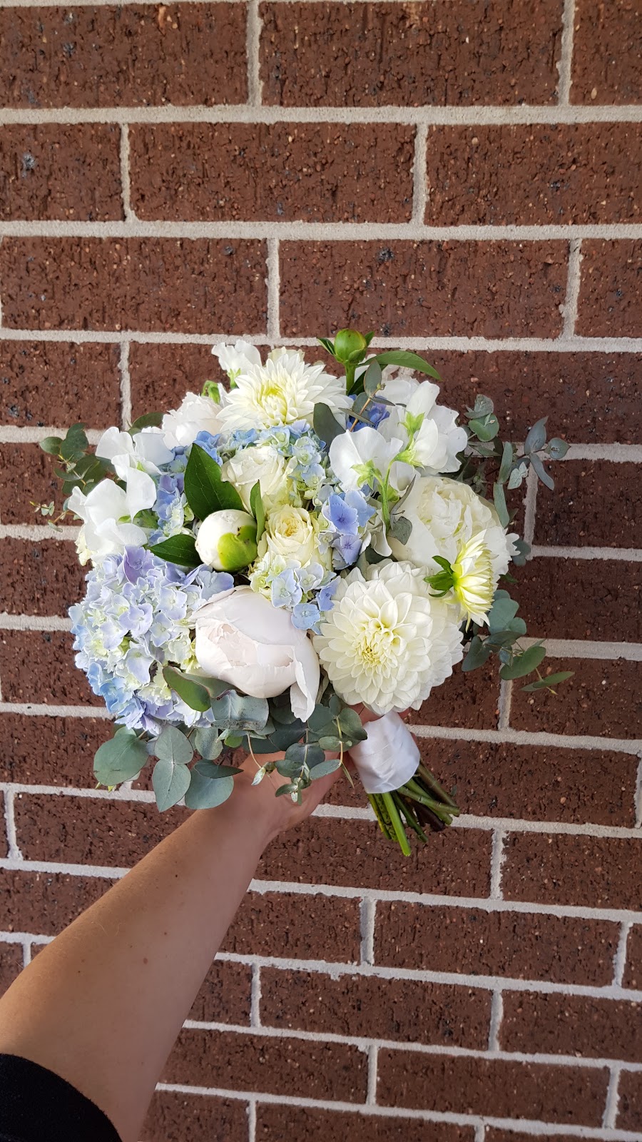 Westernport flowers | 235 Heads Rd, Yannathan VIC 3981, Australia | Phone: 0447 242 862