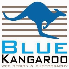 Blue Kangaroo Web Design & Photography | store | 46 Panorama Dr, Diamond Beach NSW 2430, Australia | 0400207928 OR +61 400 207 928