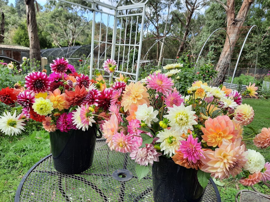 Harvest Homestead | 229 Glenfern Rd, Upwey VIC 3158, Australia | Phone: 0477 733 881