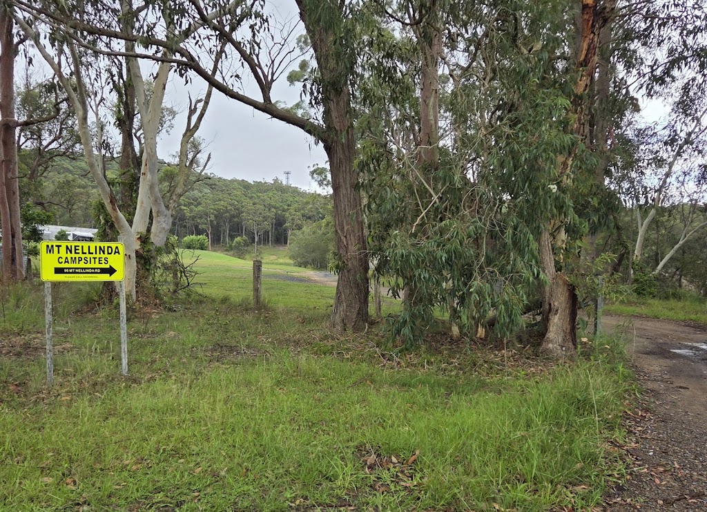 Mt Nellinda Campsites | 96 Mount Nellinda Rd, Cooranbong NSW 2265, Australia | Phone: 0413 304 610