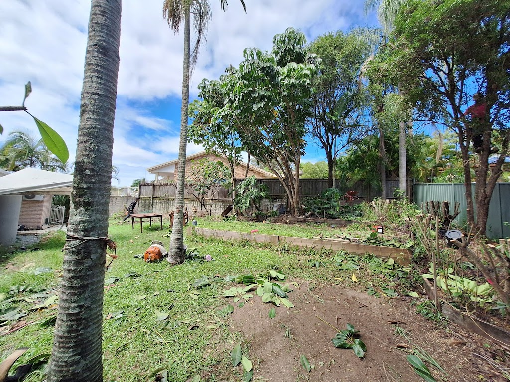 Jungle Jess Pty Ltd | 50 Garlinge Ct, Bonogin QLD 4213, Australia | Phone: 0480 473 902