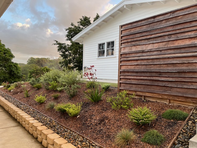 Fernvale Farm | 487 Wardrop Valley Rd, Fernvale NSW 2484, Australia | Phone: 0408 188 184
