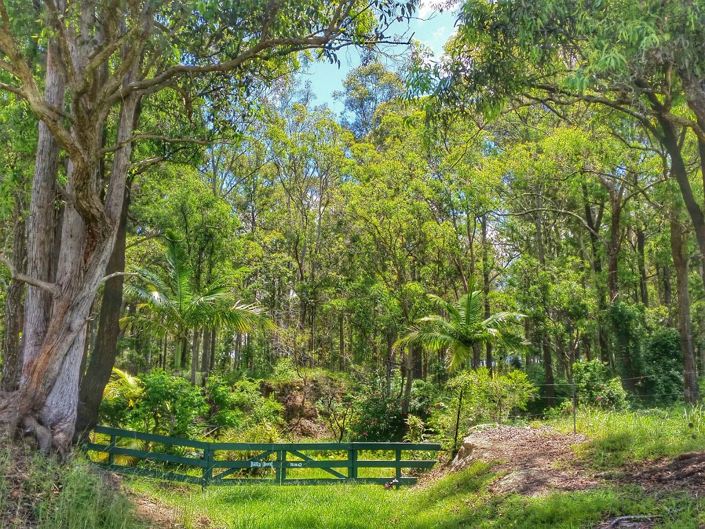 Tallowood Ridge B&B | campground | 79 Mooral Creek Rd, Cedar Party NSW 2429, Australia | 0265570438 OR +61 2 6557 0438