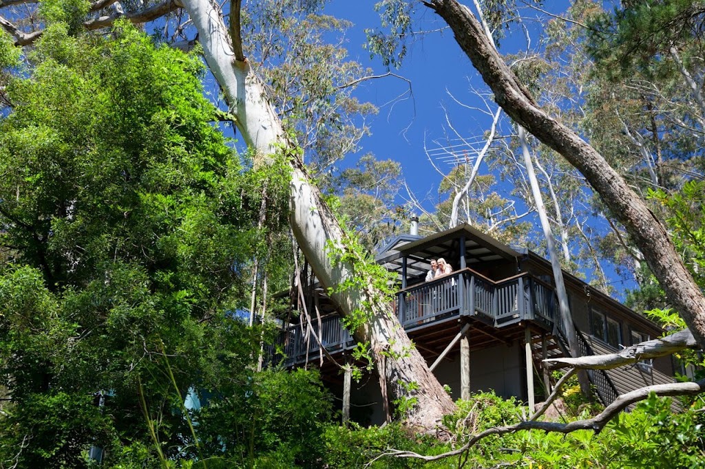 Kubba Roonga Cottage | lodging | Simpson Ave, Blackheath NSW 2785, Australia | 1800130419 OR +61 1800 130 419