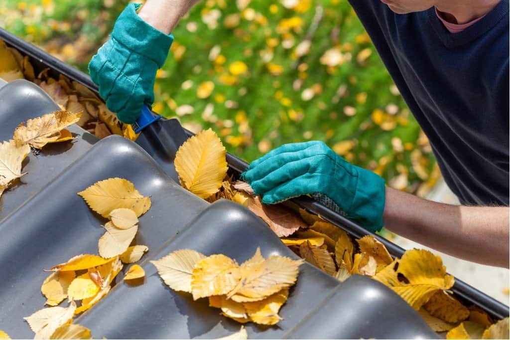 PLATINUM WINDOW AND GUTTER CLEANING | 20/92 Waverley Rd, Malvern East VIC 3145, Australia | Phone: 0434 401 143