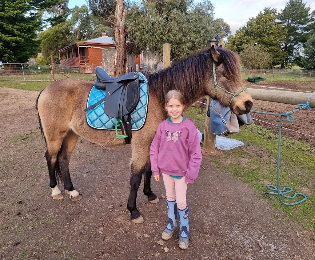 Rebel Equestrian Centre | 29 William Ct, Berringa VIC 3351, Australia | Phone: 0406 498 528