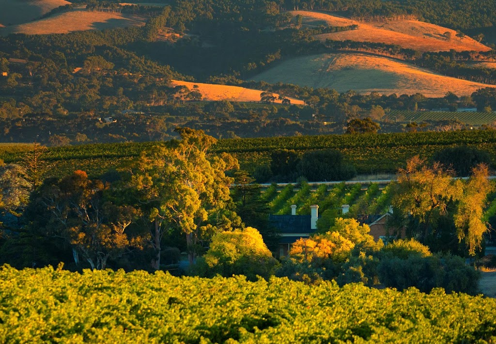 Pirramimma Winery | Johnston Rd, McLaren Vale SA 5171, Australia | Phone: (08) 8323 8205