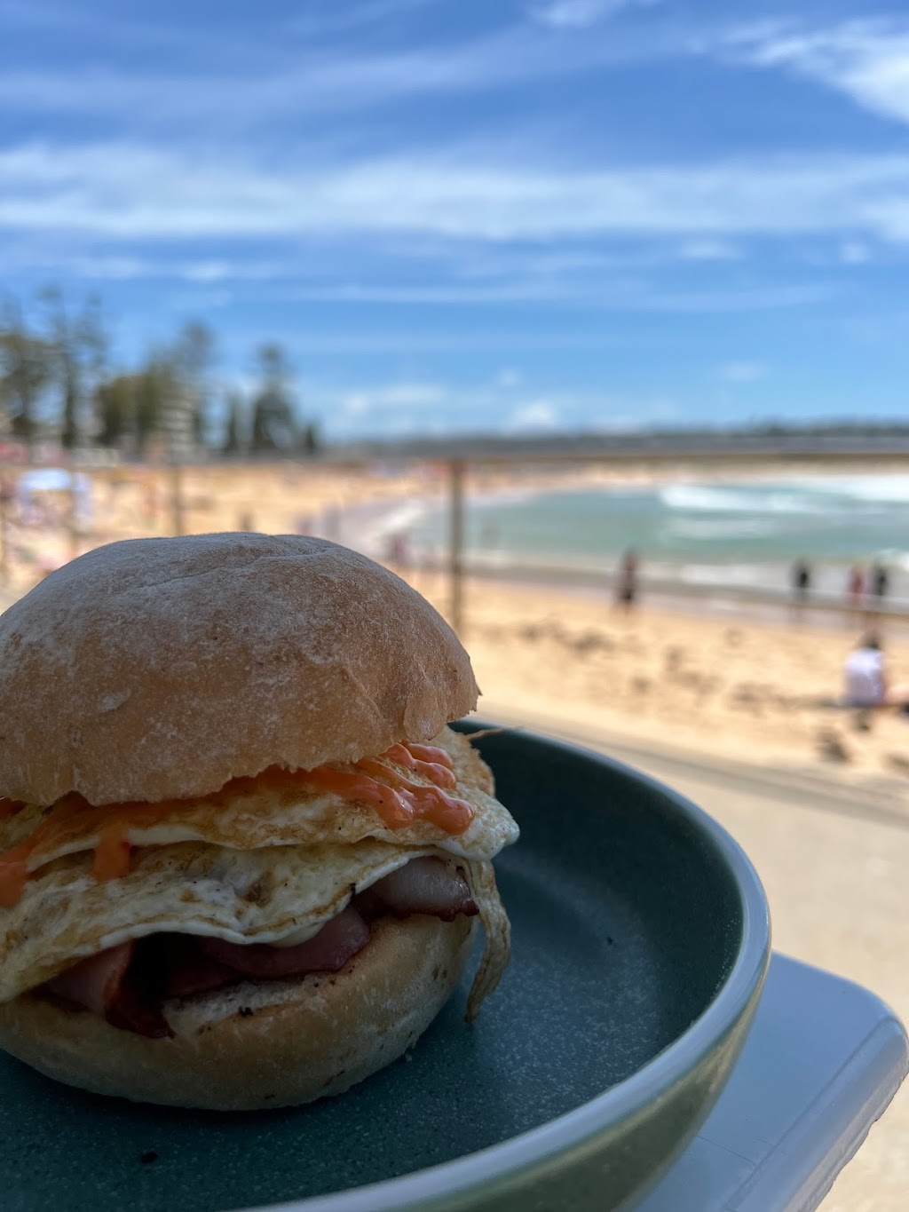 The Beach Shed | cafe | 145 Oaks Ave, Dee Why NSW 2099, Australia | 0299721790 OR +61 2 9972 1790