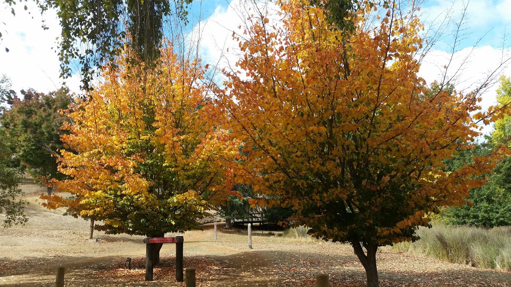 Golden Valley Tree Park | park | 164 Old Padbury Rd, Balingup WA 6253, Australia | 0897641818 OR +61 8 9764 1818