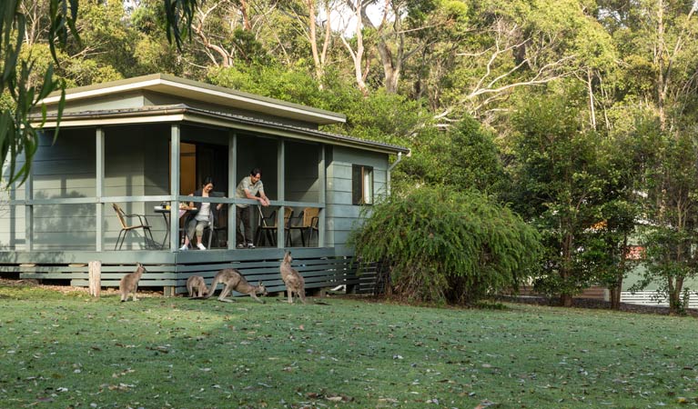 Depot Beach Cabins and Camping | 2B Depot Beach Rd, Depot Beach NSW 2536, Australia | Phone: 1300 072 757