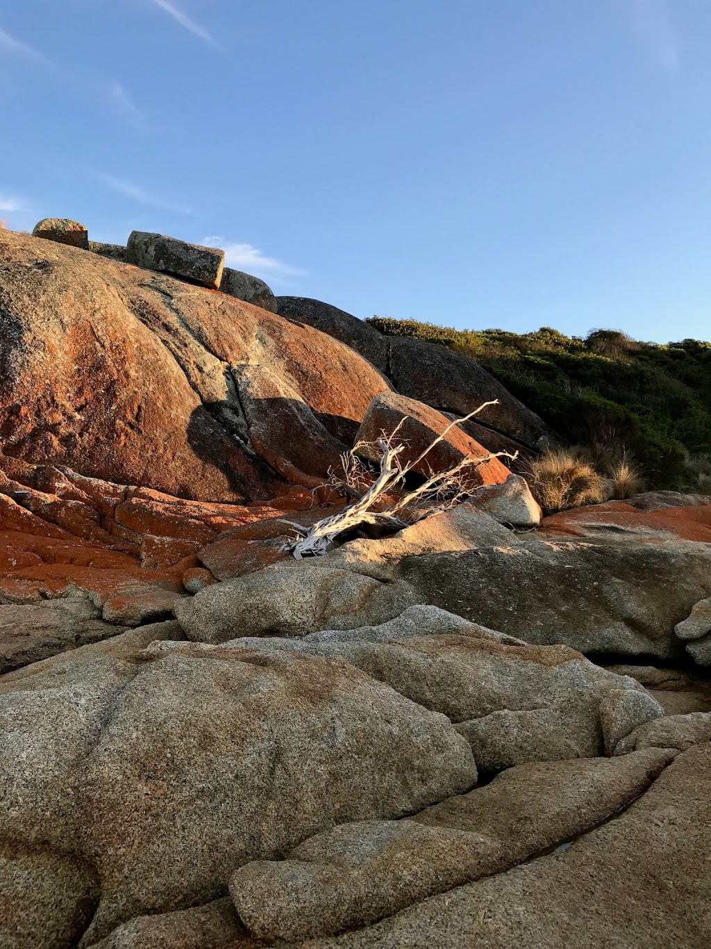 Three Hummock Island Eco Accommodation | Three Hummock Island C/O Smithton Post Office, 8 Smith St, Smithton TAS 7330, Australia | Phone: 0417 686 303