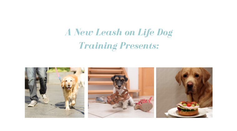 A New Leash on Life Dog Training | 23 Sir Thomas Dr, Pakenham VIC 3810, Australia | Phone: 0403 861 624