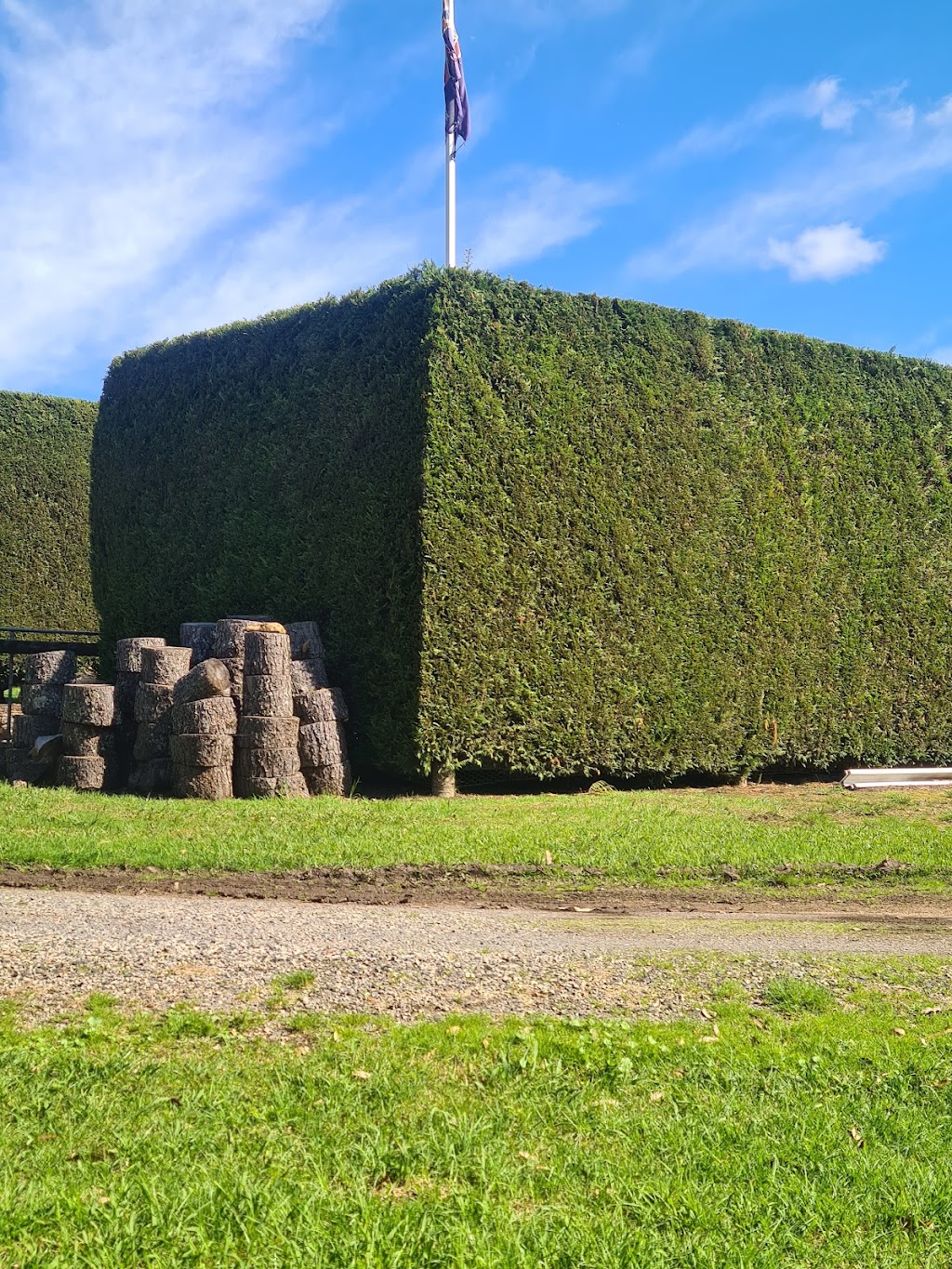 SAGE CUT Treeworks | 3C Biggera St, Braemar NSW 2575, Australia | Phone: 0416 177 223