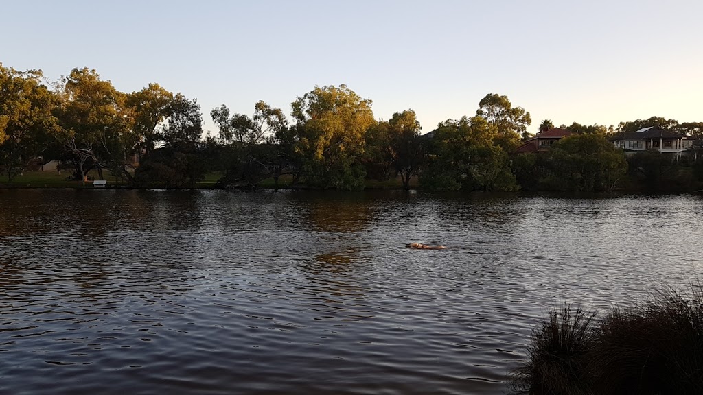 Sandy Beach Reserve, Bassendean | West Rd, Bassendean WA 6054, Australia