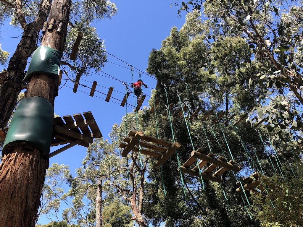 Trees Adventure - Yeodene Park | tourist attraction | 70 Possum Ridge Rd, Yeodene VIC 3249, Australia | 0352334696 OR +61 3 5233 4696