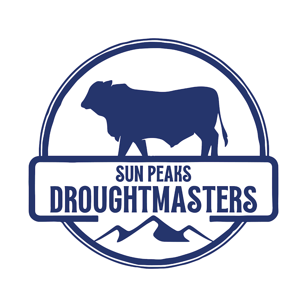 Sun Peaks Droughtmasters | Sun Peaks, 2846 Pappinbarra Rd, Upper Pappinbarra NSW 2446, Australia | Phone: 0400 035 027