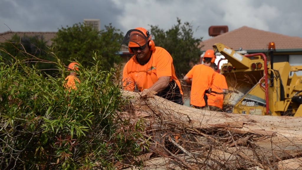 Dubbo Tree Service | 18 Spence St, Dubbo NSW 2830, Australia | Phone: 0424 242 332