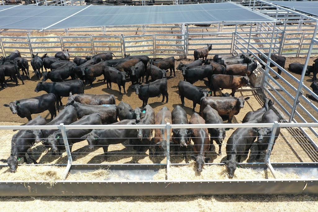 NVLX - Northern Victoria Livestock Exchange |  | 1934 Murray Valley Hwy, Barnawartha North VIC 3691, Australia | 0260428000 OR +61 2 6042 8000