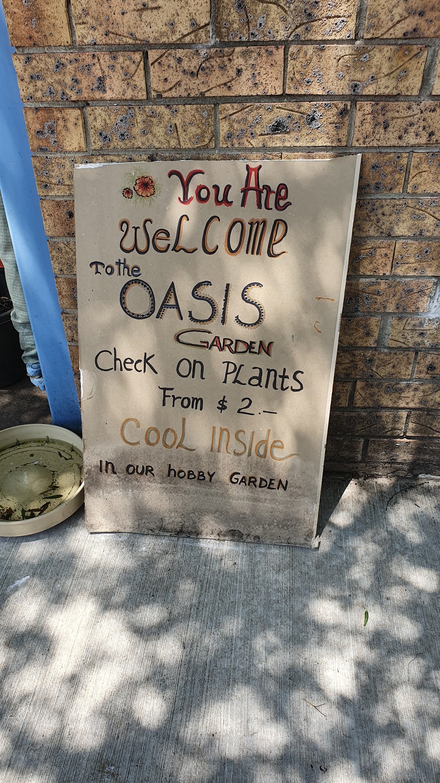 Oasis Garden | store | 40 George St, Leichhardt NSW 2040, Australia