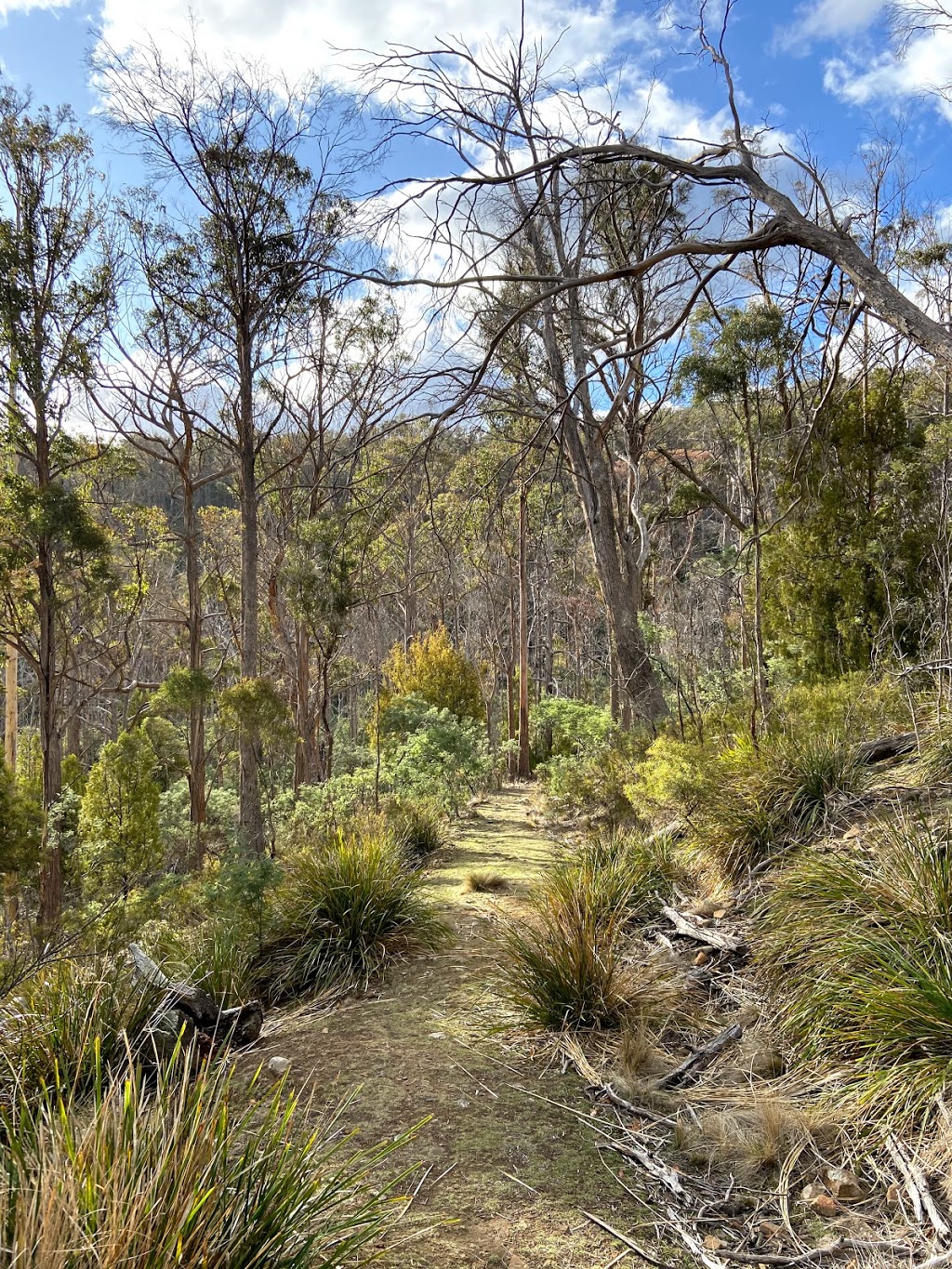 Browns Caves | park | Chauncy Vale Rd, Bagdad TAS 7030, Australia