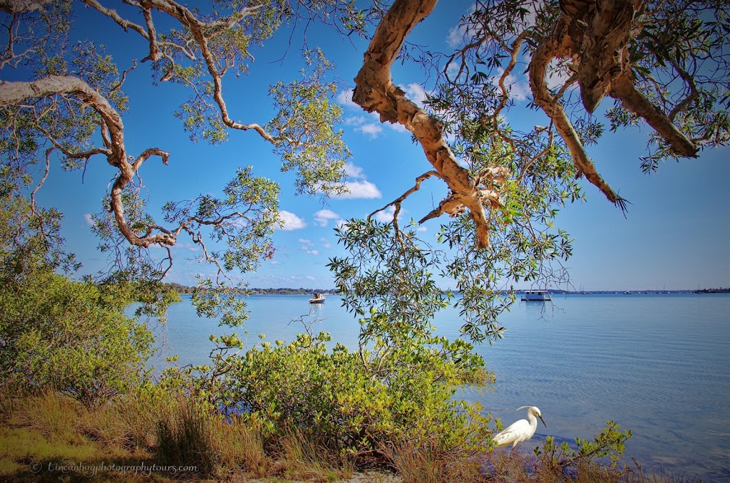 Tin Can Bay Photography & Outdoor Photography Workshops | 28 Creekside Esplanade, Cooloola Cove QLD 4580, Australia | Phone: 0438 831 947