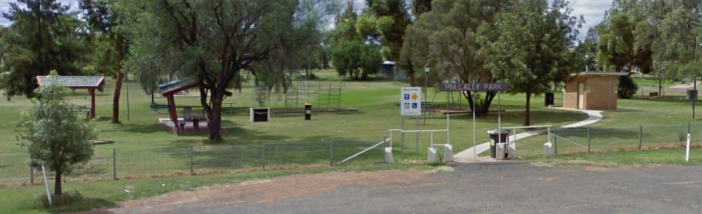 Mullaley Park | park | 52 Nombi St, Mullaley NSW 2379, Australia