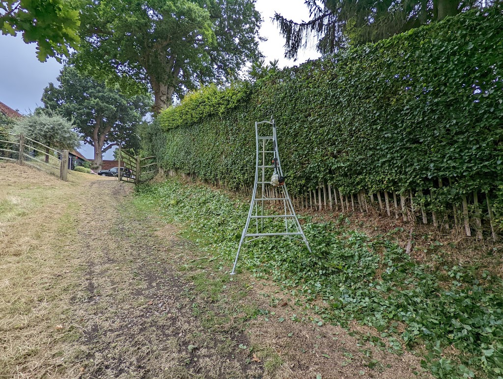 Roots Shoots & Leaves Garden Maintenance | 17 Connaghan Ave, East Corrimal NSW 2518, Australia | Phone: 0490 797 129