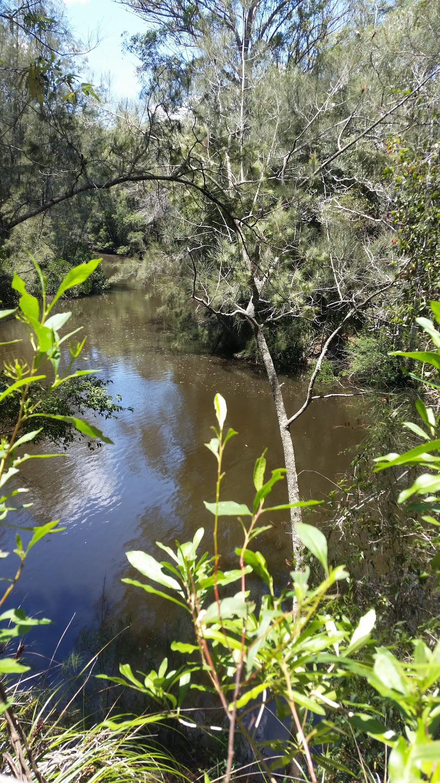 Brimbin Nature Reserve | park | Old Port Macquarie Rd, Taree NSW 2430, Australia | 0265524097 OR +61 2 6552 4097