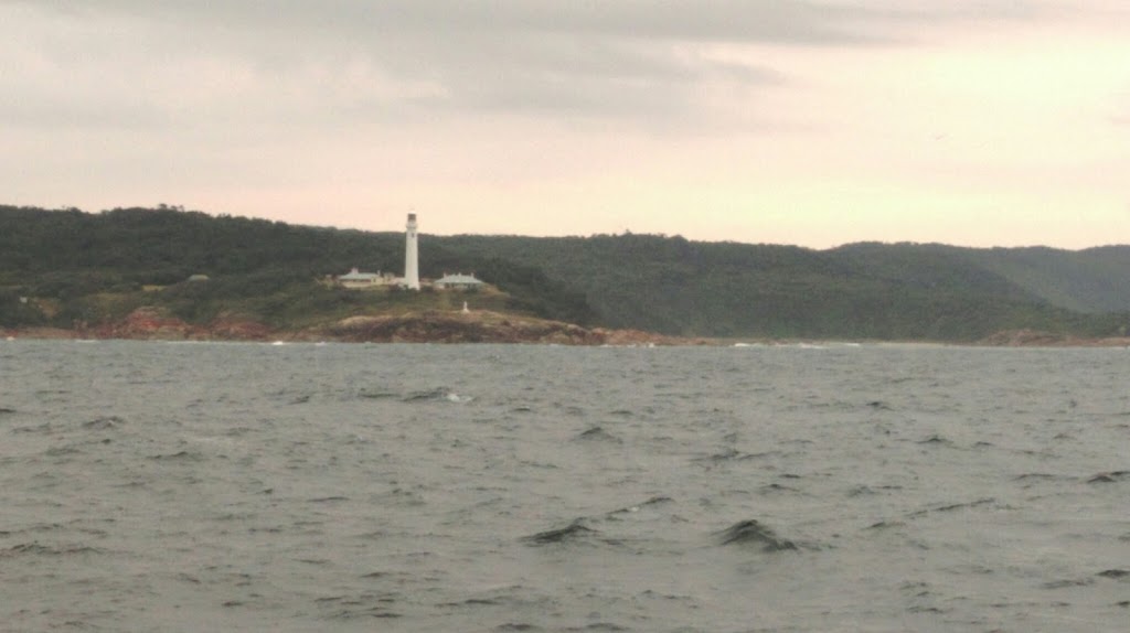 Point Hicks Marine National Park | Victoria, Australia